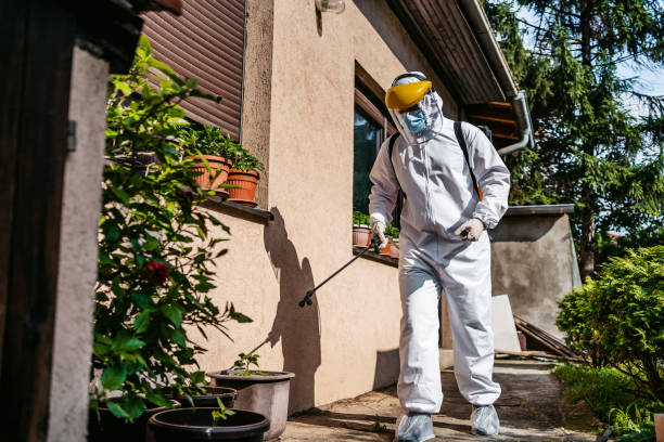Best Affordable Pest Control Services  in Citrus Park, FL