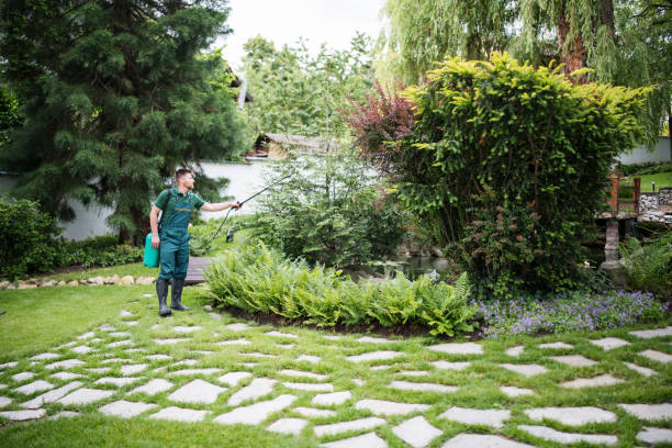Best Pest Prevention Services  in Citrus Park, FL