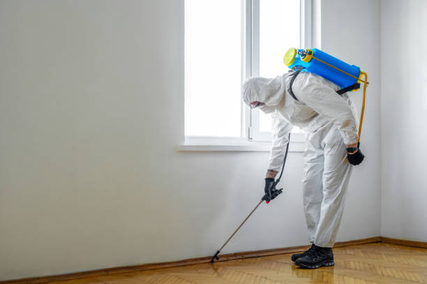 Best Bed Bug Extermination  in Citrus Park, FL