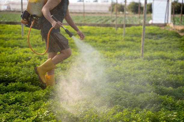 Best Flea Control Services  in Citrus Park, FL