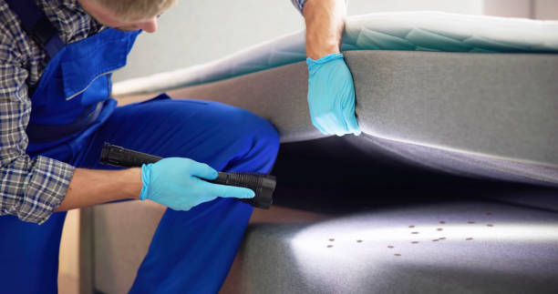 Best Pest Inspection Near Me  in Citrus Park, FL