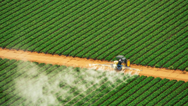 Best Mosquito Control Services  in Citrus Park, FL