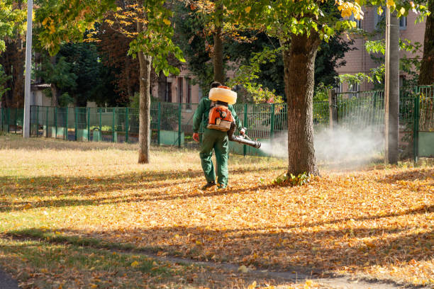 Best Best Pest Control Companies  in Citrus Park, FL