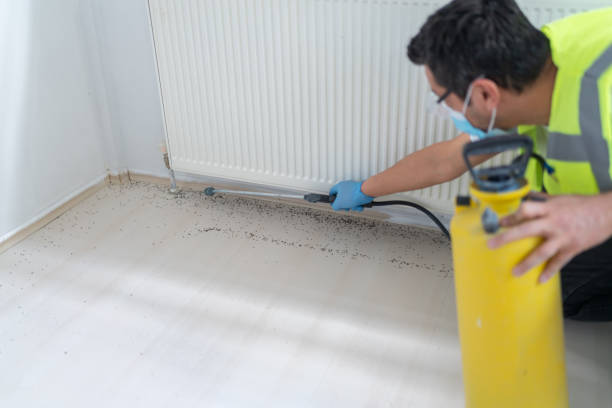Best Termite Control Services  in Citrus Park, FL